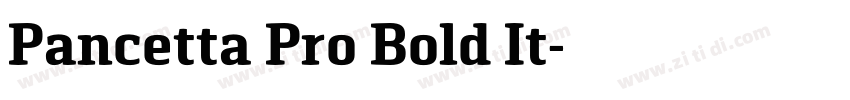 Pancetta Pro Bold It字体转换